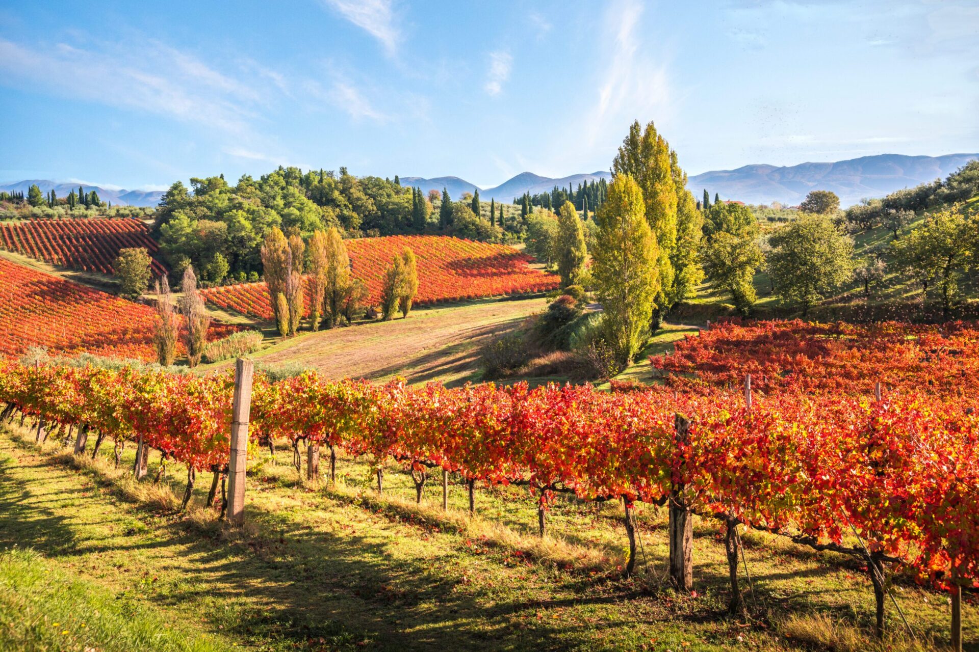 TRABALZA ITALIAN LIVING - RESTORING VILLAS IN MONTEFALCO