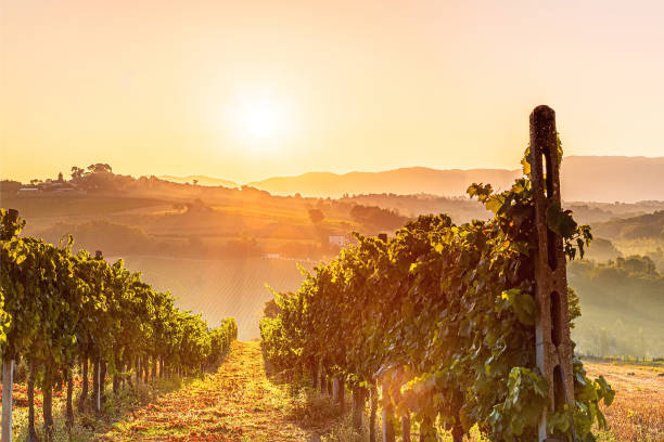 TRABALZA ITALIAN LIVING - RESTORING VILLAS IN MONTEFALCO