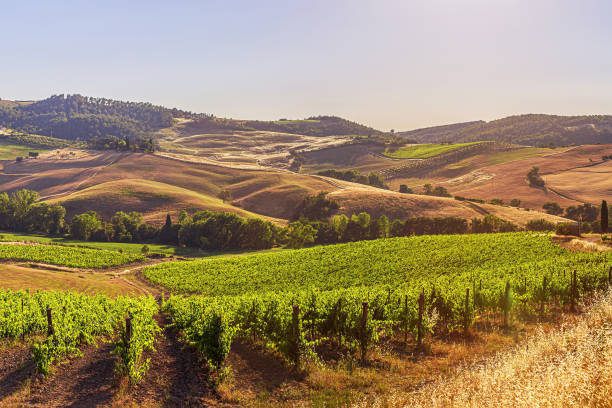 TRABALZA ITALIAN LIVING - RESTORING VILLAS IN MONTEFALCO